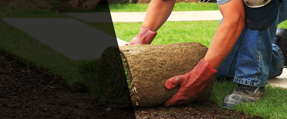 Parrish Landscapers